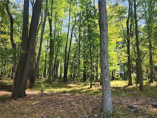 Lot 10 Winterwood Dr, Connoquenessing Township, PA 16001