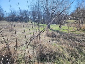 Non at this time E Townes St, Manor, TX 78653