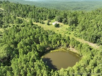 0 Hulsey Prairie Unit 2524999, Panola, OK 74559