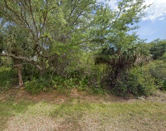 3542 Mentone St, Port Charlotte, FL 33980