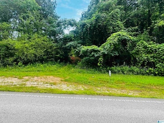 000 Alabama 48, Lineville, AL 36266