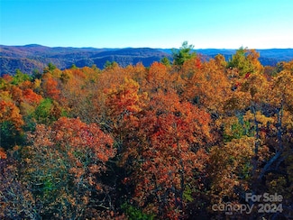 Lot D1 and D2 000 Dogwood Ln, Penrose, NC 28766