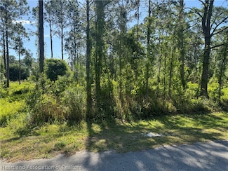 5200 Fettuccine Ave, Sebring, FL 33872