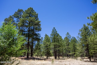 5330 N Nordica Loop, Flagstaff, AZ 86004