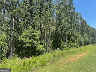 LOT 4 Matthews Rd, Tennille, GA 31089