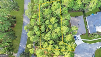 0 Cedar Hill Dr Unit 10407471, Saint Marys, GA 31558