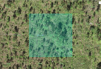 0 0 Unit A11786769, Frostproof, FL 33843