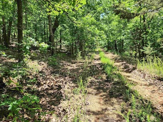 L-14, B-4 Paiute Dr, Cherokee Village, AR 72529