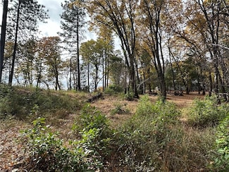 0 Bunker Hill Mine Rd Unit OR25075780, Yankee Hill, CA 95965