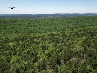 TRACT 40 Trail Ridge Rd, Albion, OK 74571