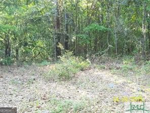 0 Salt Creek Rd Unit 10447537, Garden City, GA 31405