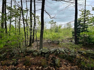 0 Farm Rd Unit Lot 83-A2 4995833, Surry, NH 03431