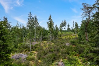 0 E South Island Dr, Shelton, WA 98584