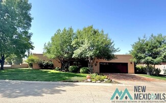 601 Guadalupe Ct, Carlsbad, NM 88220
