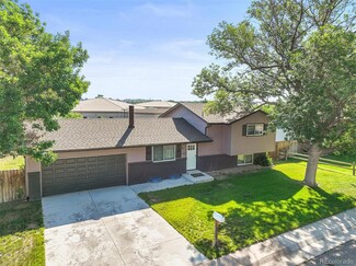 13542 Achilles Dr, Lone Tree, CO 80124