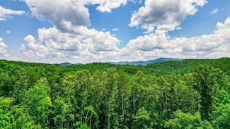 0 Hemlock Ridge Subd Unit 417470, Turtletown, TN 37391