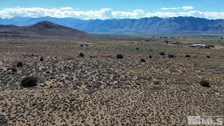 004 Risue Canyon Rd, Gardnerville, NV 89410