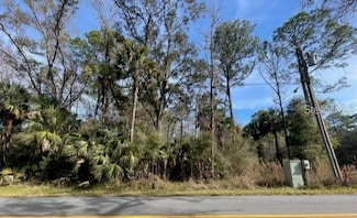 3411 S Michigan Blvd, Homosassa, FL 34448