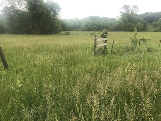 Lot 1 NE Brown Rd, Lathrop, MO 64465
