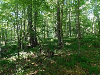 Lot 7 Cherry Wood Ln, Terra Alta, WV 26764