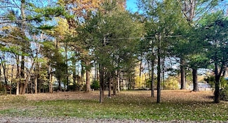 4036 S Cypress Ave, Croton Township, MI 49337