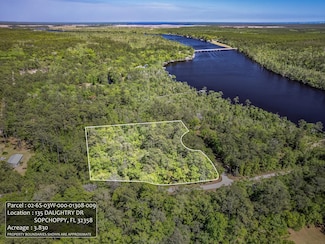 135 Daughtry Dr, Sopchoppy, FL 32358