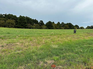 16724 Caeli Heights Ct, Winona, TX 75792