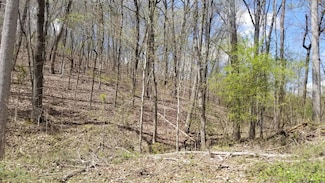 Lot 286 Maple Dr, Spring City, TN 37381