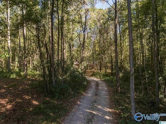 431 County Road 30, Roanoke, AL 36274