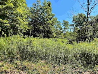 Lot 8 Alpenglow Ridge Dr, Dryfork, WV 26260