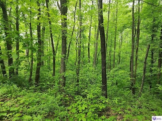 Tract 1 E G Nash Rd, Spring Lick, KY 42721