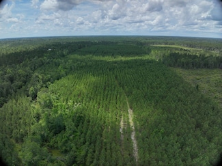 Old Wilson Rd, Adrian, GA 31002