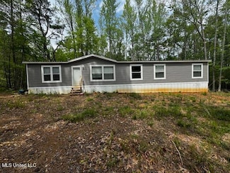 1869 Wright Rd, Eupora, MS 39744