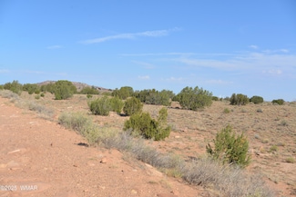 0 W Ridgeview Ranch Rd Unit 257417, Snowflake, AZ 85937