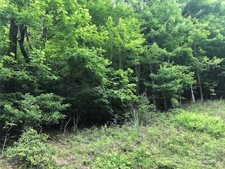 000 N Blue Ridge Pkwy E Unit 167, Jefferson, NC 28640