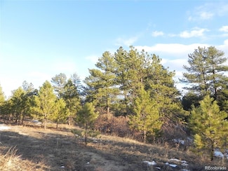2366 Lupine Cir, Larkspur, CO 80118