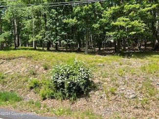 1868 Brentwood Dr, Lehman Township, PA 18324