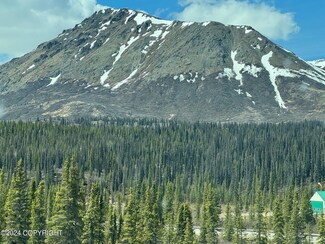 L7 Wonderstruck Ave, Cantwell, AK 99729