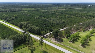 TRACT 1 Trudie Rd, Blackshear, GA 31516