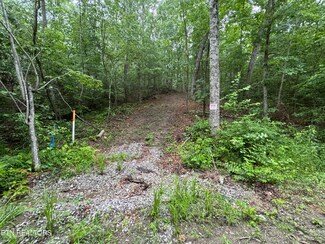 169 Woods Hollow Ln, Crossville, TN 38571