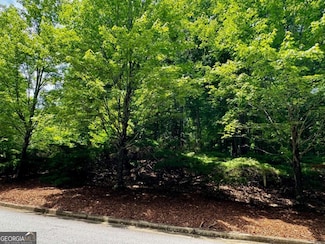 680 Mitchell Bridge Rd Unit Tract 1, Athens, GA 30606