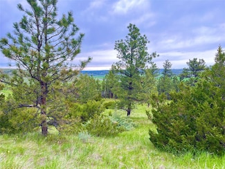 69 Colter Trail, Columbus, MT 59019