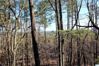 1 County Road 37, Lynn, AL 35575