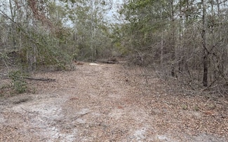 TBD SW 57th Trail, Jasper, FL 32052