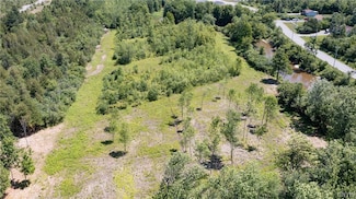 16744 Lot #3 Thompson Trail Dr, Dexter, NY 13634