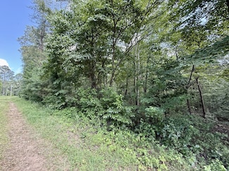 0 Webb Rd, Summertown, TN 38483