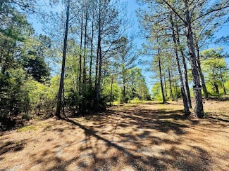 10381 Indian Mound Rd, Ware Shoals, SC 29692