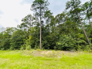 Tract 3 U S 319, Tifton, GA 31794