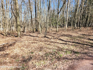 DD1 Whisper Dr, White Haven, PA 18661
