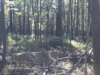 00 Old Railroad Grade Rd Unit Railroad Grade Road, Thurmond, NC 28683